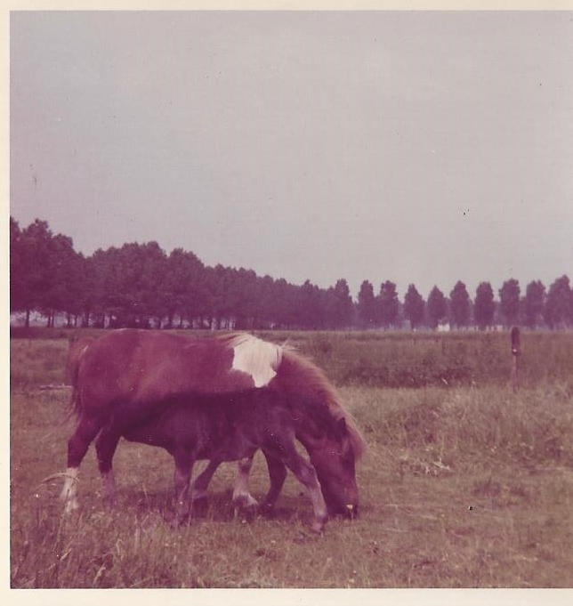 Yvonne vd Lageheiweg 1971